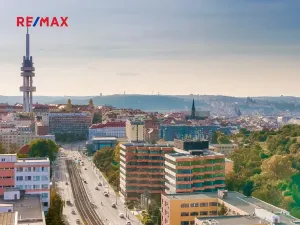 Pronájem bytu 2+kk, Praha - Žižkov, Olšanská, 71 m2