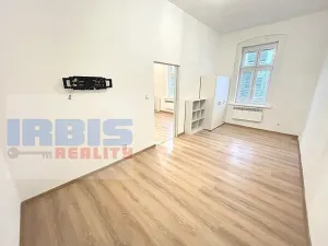 Pronájem bytu 1+1, Plzeň, Hřímalého, 36 m2