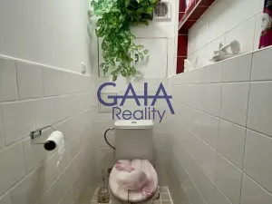 Pronájem bytu 3+1, Bukovany, 63 m2