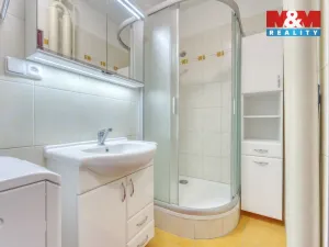 Pronájem bytu 2+1, Plzeň - Východní Předměstí, Francouzská třída, 55 m2