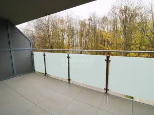 Pronájem bytu 1+kk, Plzeň, Heyrovského, 40 m2