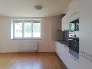 Pronájem bytu 1+kk, Praha - Smíchov, Fráni Šrámka, 46 m2