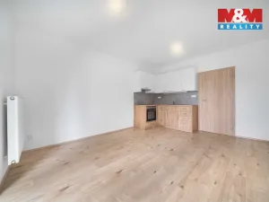 Pronájem bytu 1+kk, Třemošná, Školní, 32 m2