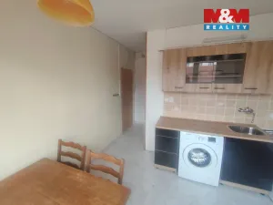 Pronájem bytu 1+1, České Budějovice - České Budějovice 7, Mánesova, 38 m2