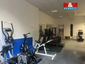 Prodej bytu 4+kk, Liberec - Liberec III-Jeřáb, Americká, 103 m2