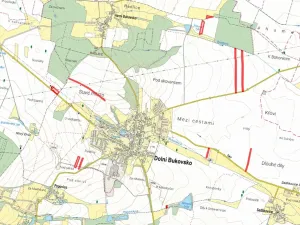 Prodej pole, Dolní Bukovsko, 70476 m2