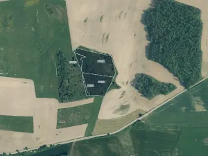 Prodej pole, Velký Bor, 45700 m2