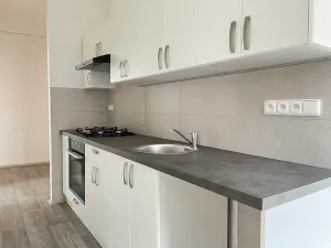 Pronájem bytu 3+1, Litvínov, Čapkova, 66 m2