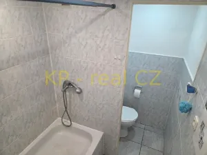 Prodej bytu 2+kk, Chlumec, Tuchomyšlská, 40 m2