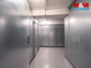 Prodej obchodního prostoru, Praha - Žižkov, Biskupcova, 54 m2