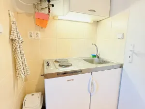 Pronájem bytu 1+kk, Praha - Suchdol, Nad dolíky, 16 m2