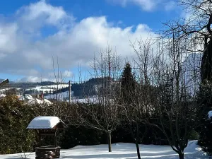 Prodej rodinného domu, Červená Voda, 310 m2