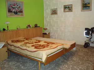 Prodej rodinného domu, Moravská Nová Ves, Na Koncích, 90 m2