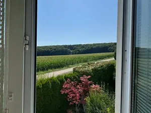 Pronájem bytu 1+kk, Brno, Keřová, 32 m2