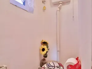 Prodej rodinného domu, Lázně Toušeň, Hlavní, 107 m2