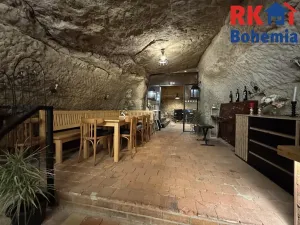 Pronájem restaurace, Mladá Boleslav, Ptácká, 410 m2