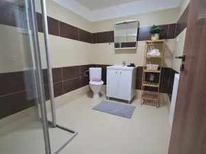 Prodej bytu 2+kk, Brno, Ríšova, 53 m2