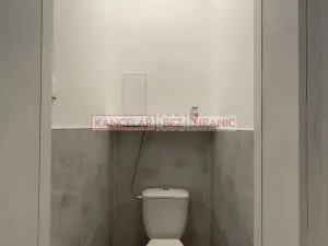 Pronájem bytu 1+1, Ostrava, Hilbertova, 54 m2