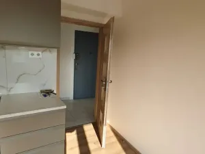 Pronájem bytu 2+kk, Praha - Žižkov, Basilejské náměstí, 48 m2