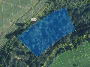 Dražba lesa, Nové Hrady, 7263 m2