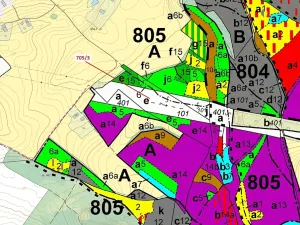 Dražba lesa, Janův Důl, 27787 m2