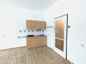 Pronájem bytu 1+kk, Litvínov, Koldům, 32 m2
