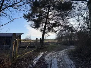 Prodej zahrady, Milý, 554 m2