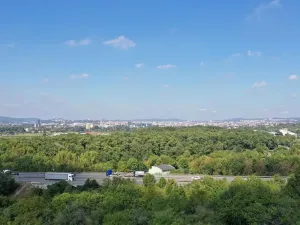 Prodej zahrady, Brno, 319 m2