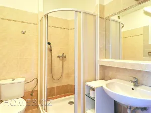 Pronájem bytu 2+1, Praha - Bubeneč, Terronská, 45 m2