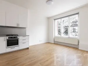 Pronájem bytu 2+kk, Praha - Vinohrady, Šmilovského, 51 m2
