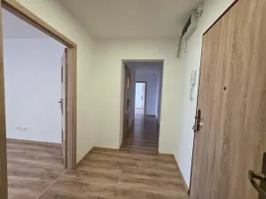 Pronájem bytu 3+1, Frýdlant nad Ostravicí, Kadlčákova, 70 m2