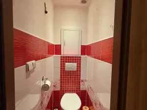 Pronájem bytu 2+kk, Frýdlant nad Ostravicí, Pionýrů, 54 m2