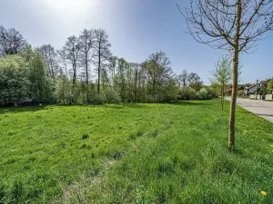 Prodej pozemku pro bydlení, Petroupim, 979 m2