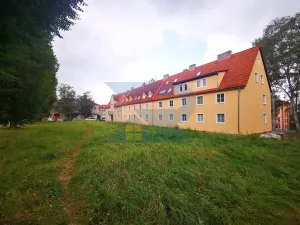 Pronájem bytu 1+1, Liberec, Horská, 37 m2