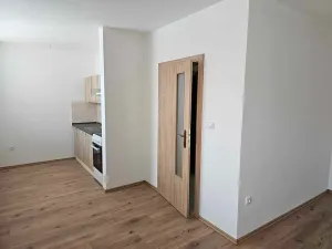 Pronájem bytu 1+kk, Chlumec nad Cidlinou, 45 m2