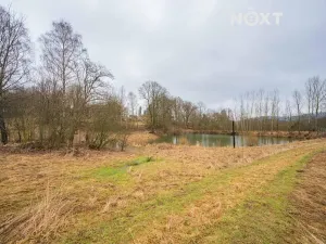 Prodej pozemku pro bydlení, Malá Morava, 1400 m2