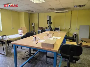 Prodej výrobních prostor, Roudnice nad Labem, Pracnerova, 2250 m2