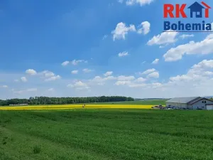 Prodej pozemku pro bydlení, Čistá, 900 m2
