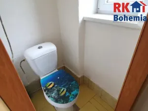 Prodej bytu 2+1, Mladá Boleslav, Sadová, 57 m2