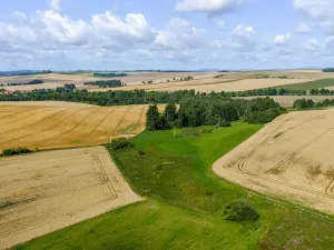 Prodej rybníku, Želetava, 5179 m2