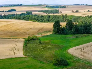 Prodej rybníku, Želetava, 5179 m2
