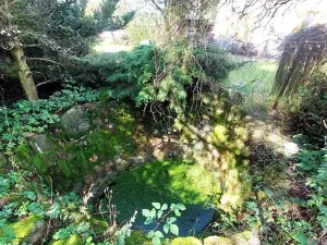 Prodej zemědělského objektu, Rybníky, 95 m2