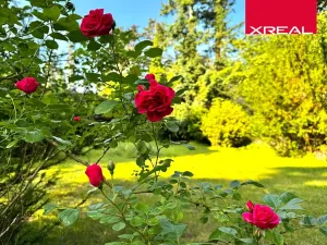 Prodej rodinného domu, Kamenice, Lomená, 157 m2