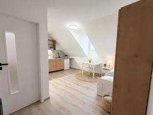 Pronájem bytu 1+kk, Praha - Nusle, Dačického, 22 m2