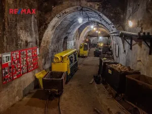 Prodej pozemku pro bydlení, Chrustenice, 1062 m2