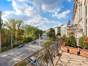 Prodej podílu vícegeneračního domu, Brno, Drobného, 242 m2