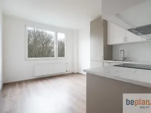 Prodej bytu 1+1, Děčín, Školní, 43 m2