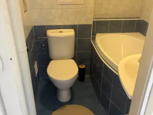 Pronájem bytu 1+1, Pardubice - Bílé Předměstí, Na Okrouhlíku, 30 m2