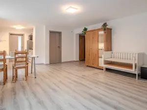 Pronájem bytu 2+kk, Pátek, 80 m2