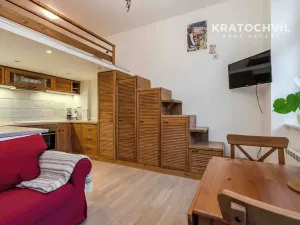 Prodej bytu 1+kk, Praha - Bubeneč, Korunovační, 32 m2